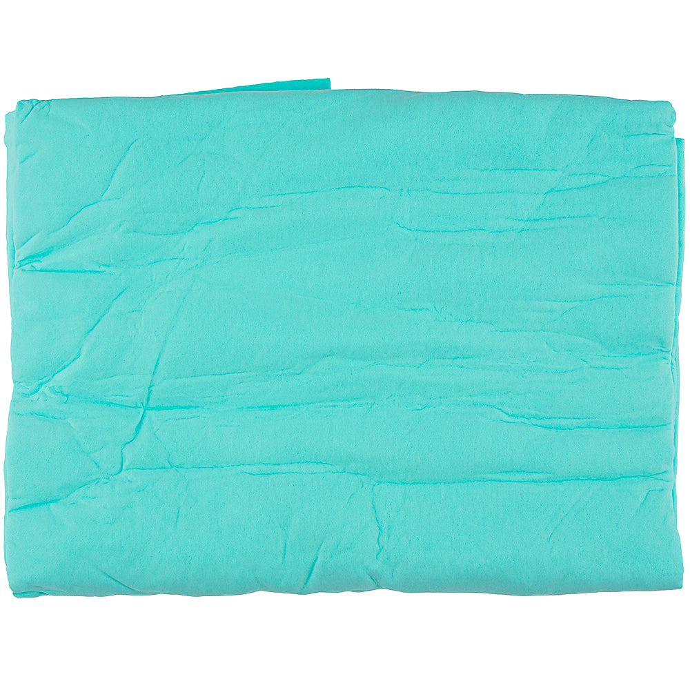 Best Absorption Towel Light Blue by Dog Fashion Spa