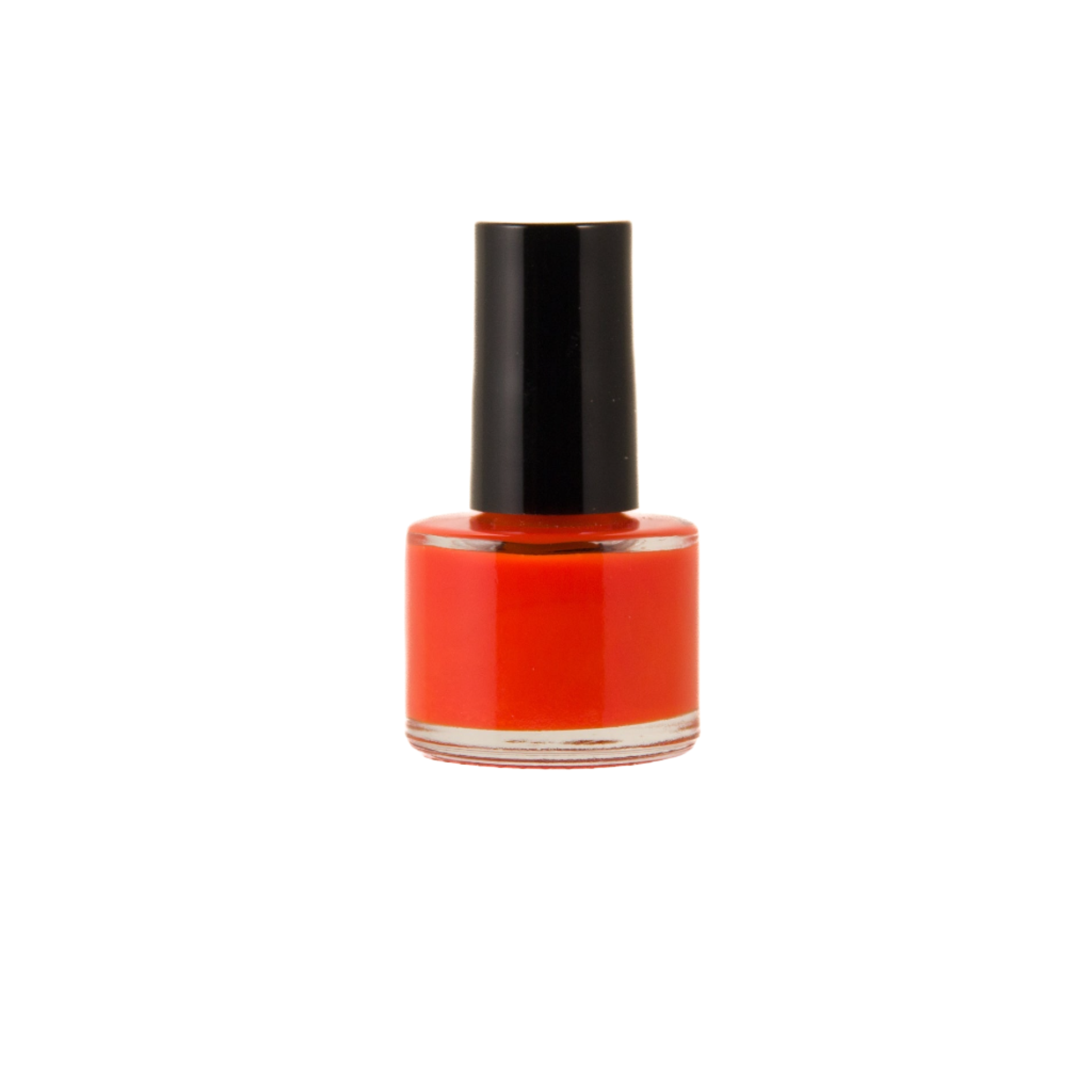 Best Orange Disco Paw Nail Polish from Dog Fashion Spa