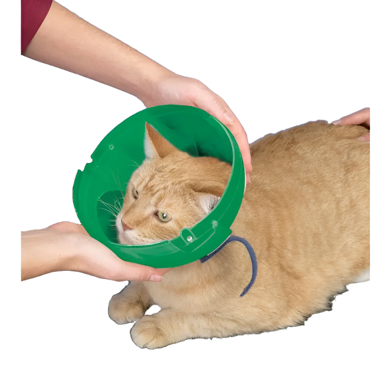 Cat and Small Dog E Collar and Muzzle