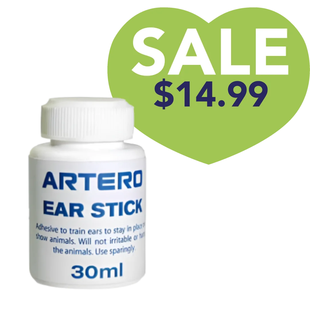 Ear Stick by Artero