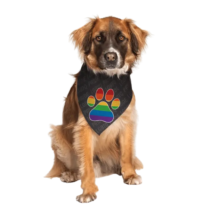 Dog Fashion Living Gay Flag Paw Dog Bandana