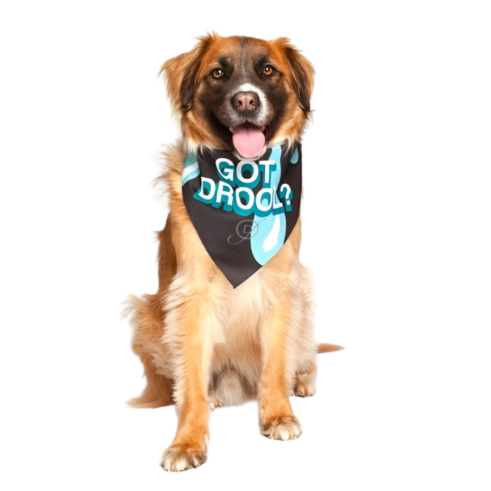 Dog Fashion Living Got Drool Dog Bandana