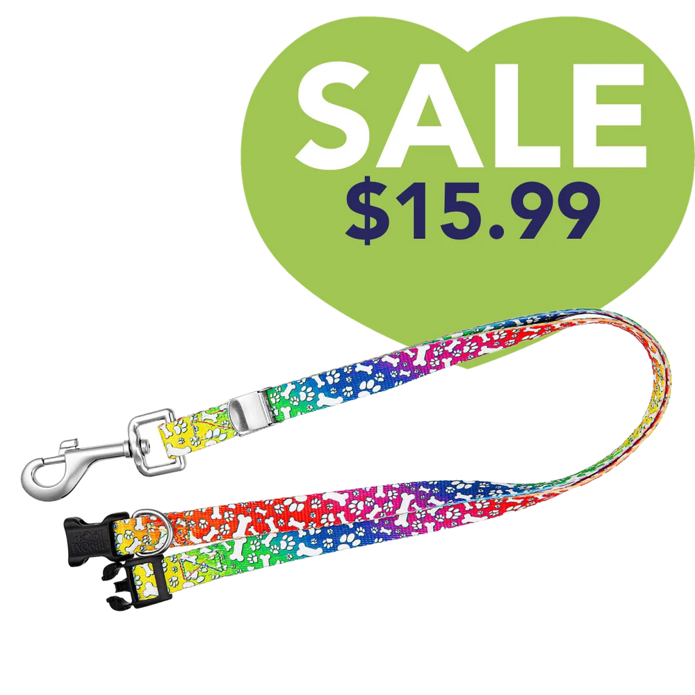 24" Polyester Loop Trippy Dog by Groom Loop