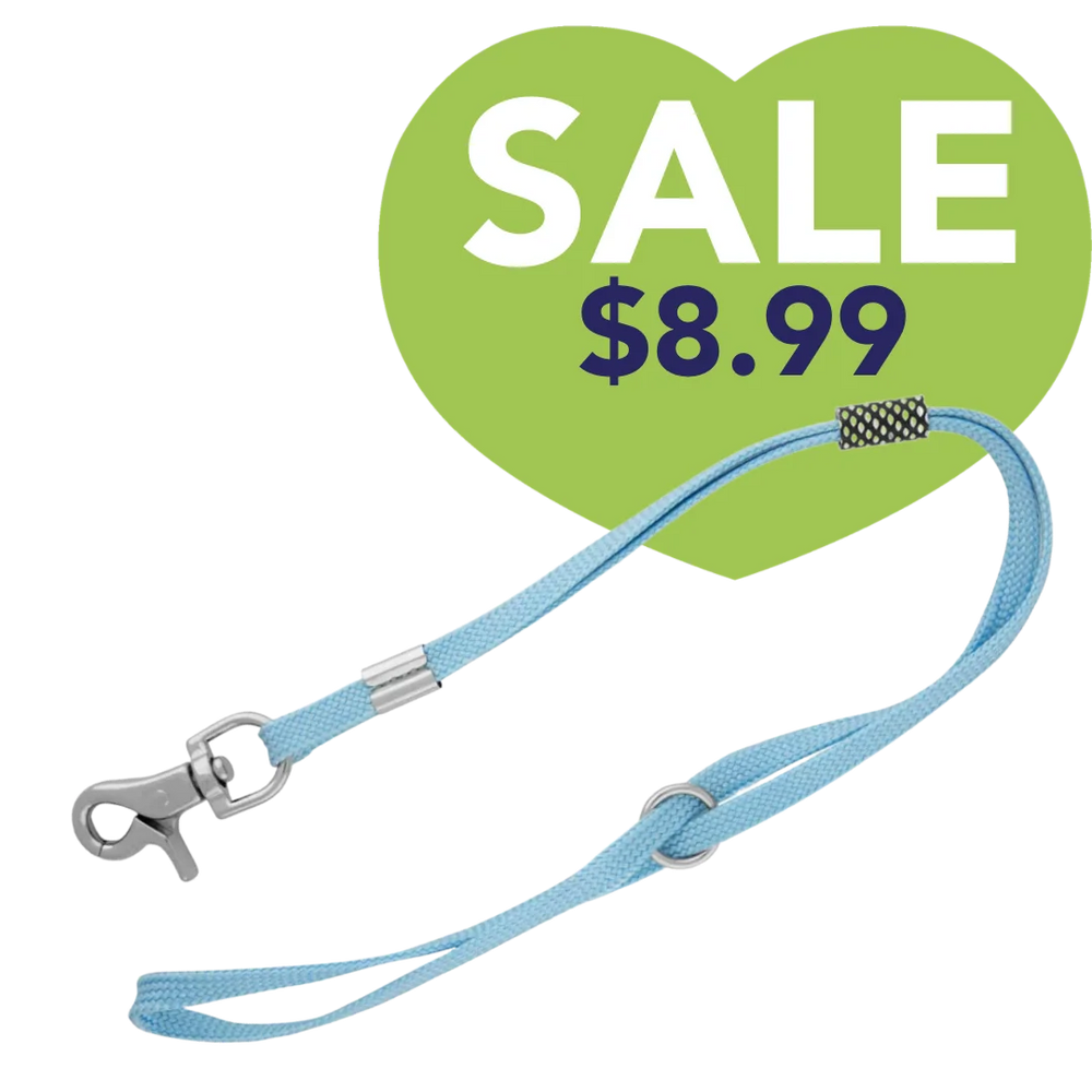 Grooming Noose in Light Blue by Aeolus