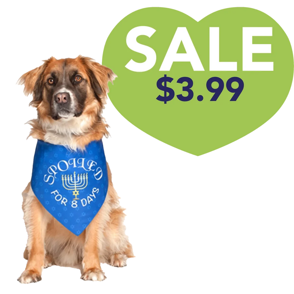 Dog Fashion Living Hanukkah Holiday Dog Bandana