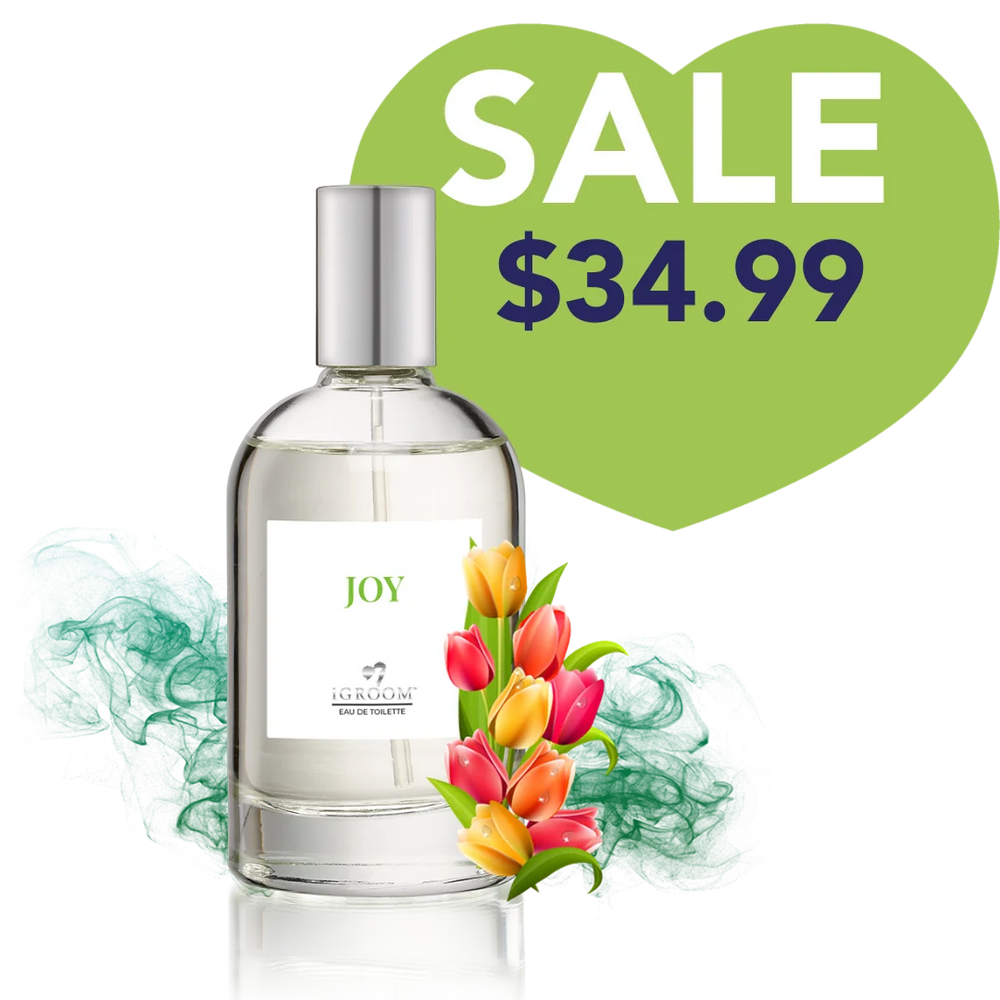 Joy Perfume 100ml by iGroom