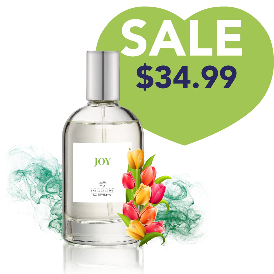 Joy Perfume 100ml by iGroom