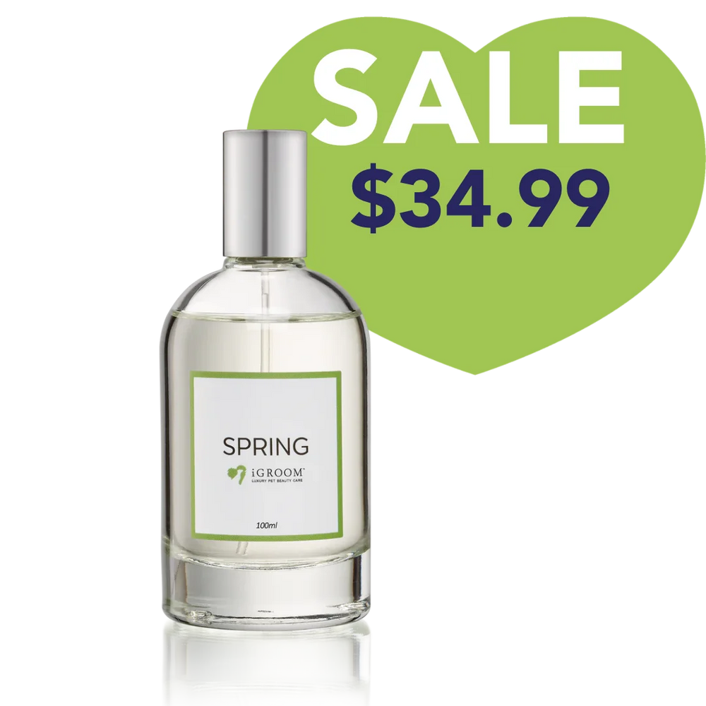 Spring Perfume 100ml by iGroom