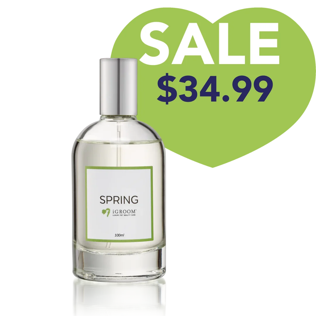 Spring Perfume 100ml by iGroom