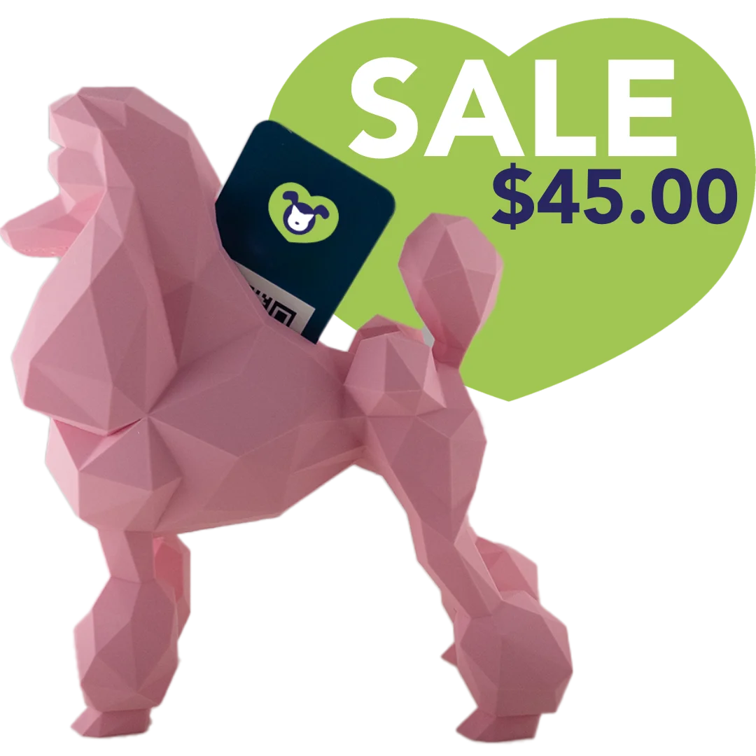 Poodle Business Card Holder Pink by Kumpe3D