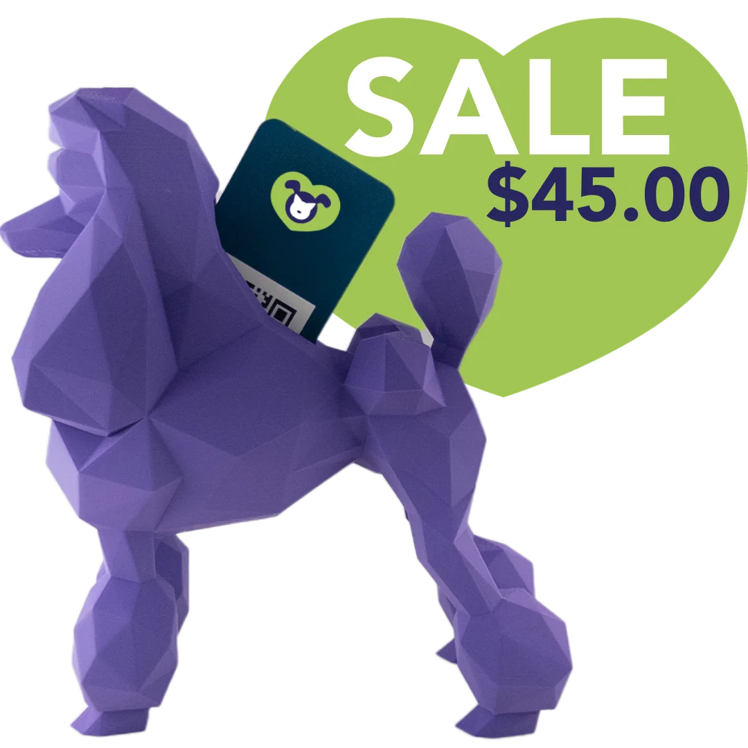 Poodle Business Card Holder Purple by Kumpe3D