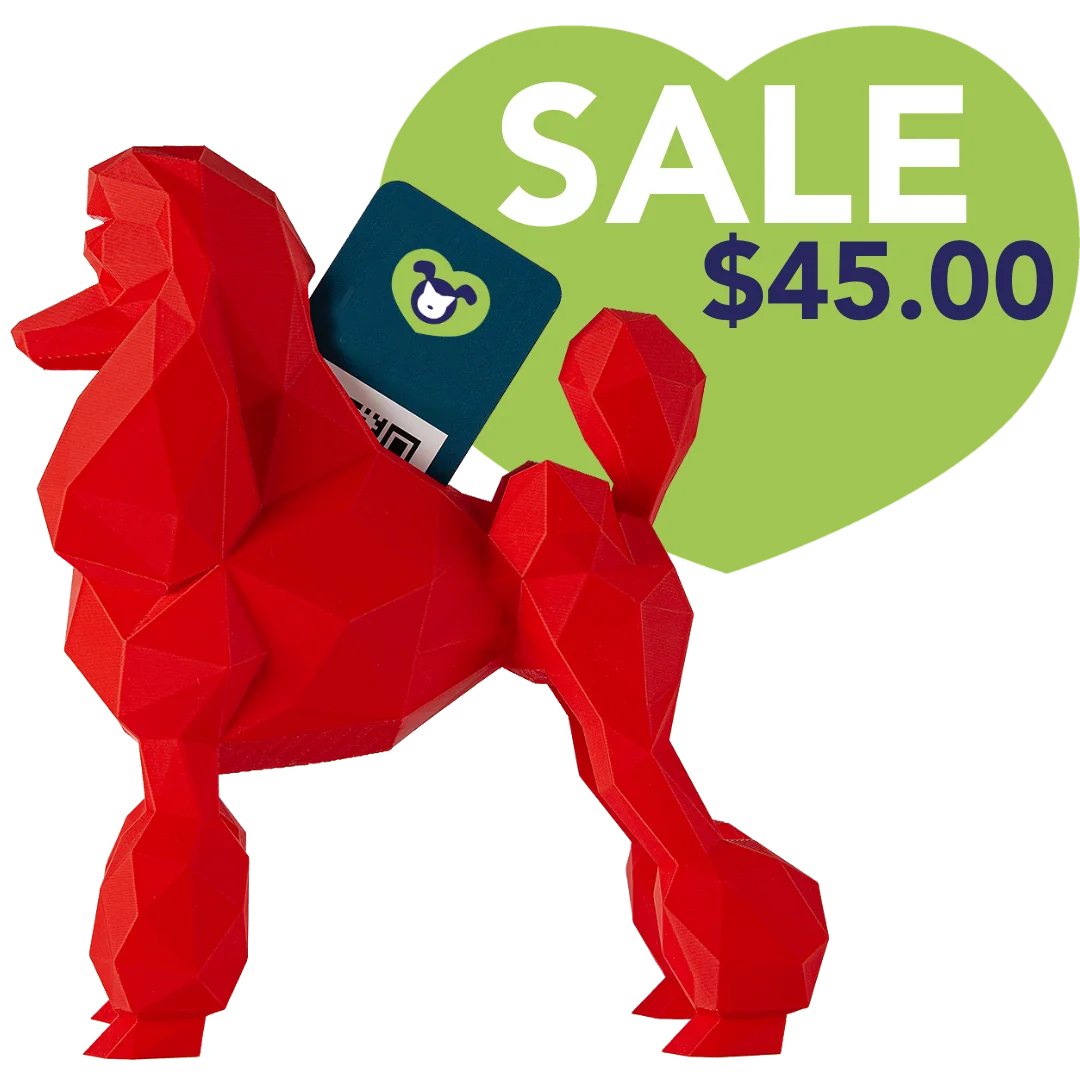 Poodle Business Card Holder Red by Kumpe3D