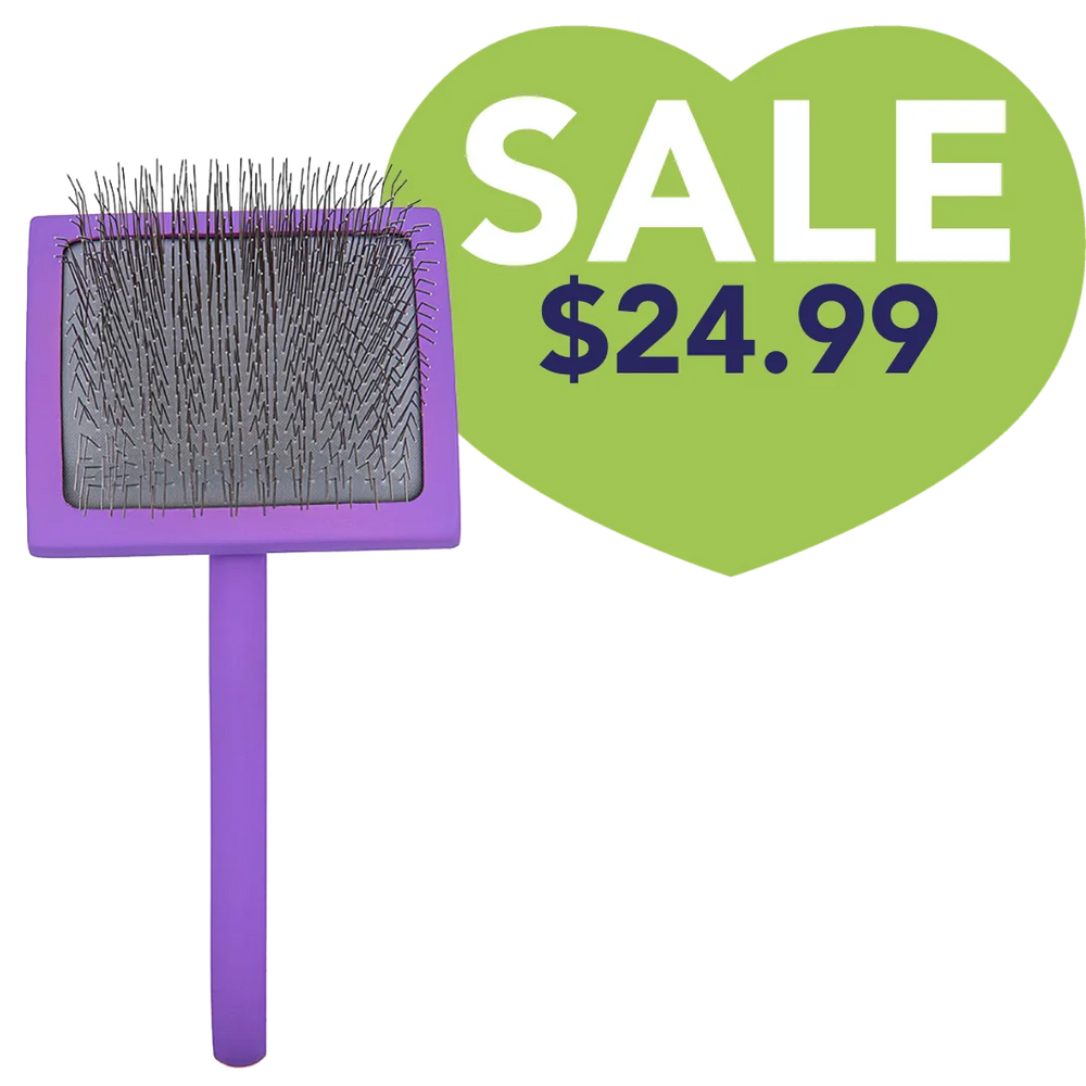 Large Curved Purple Dematting Brush by PetStore.Direct