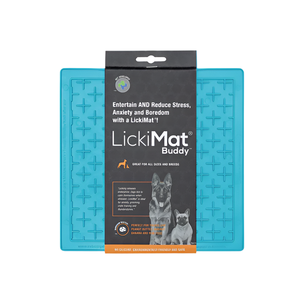 Buddy for Dogs Turquoise by LickiMat