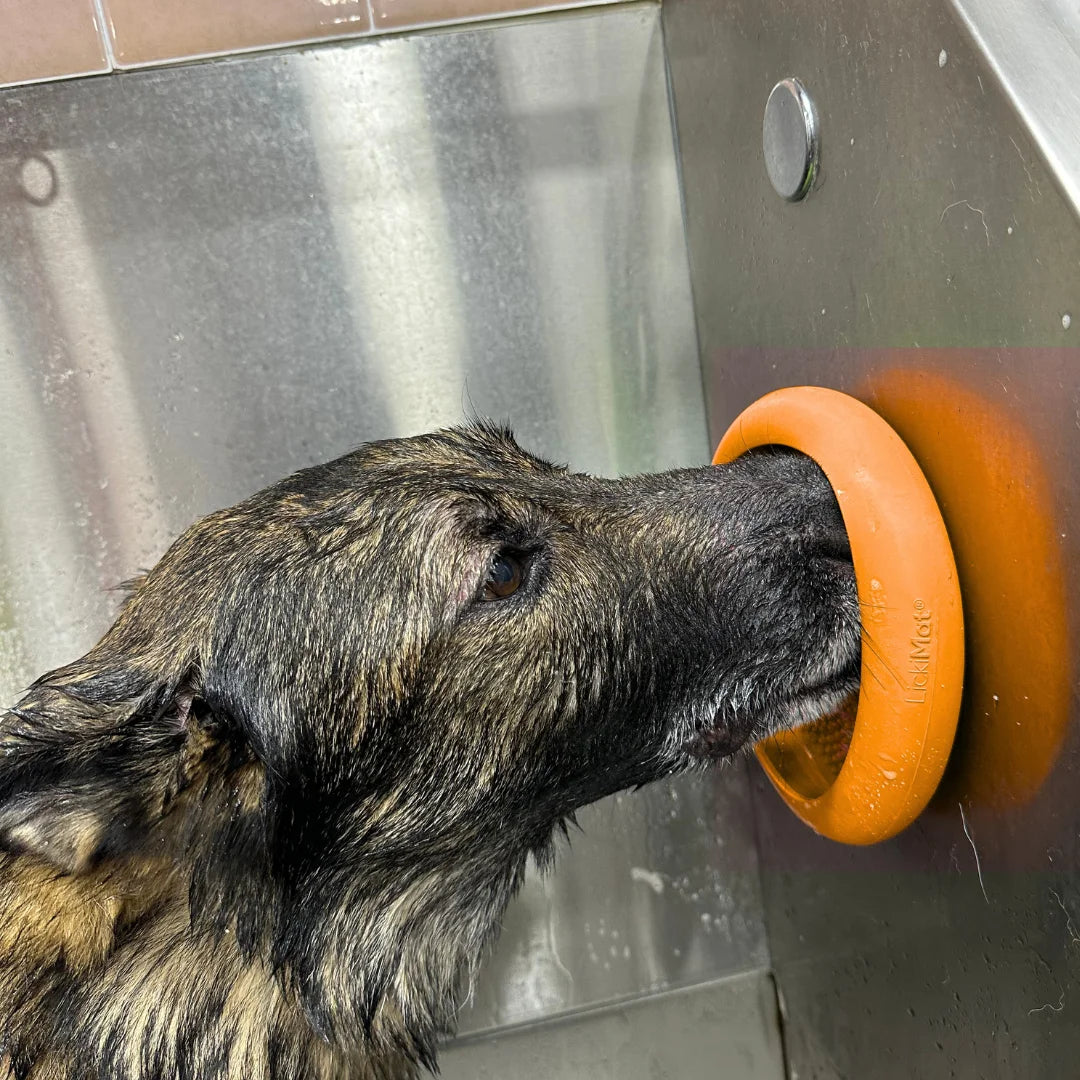 UFO Slow Feeder Dog Bowl Orange by LickiMat