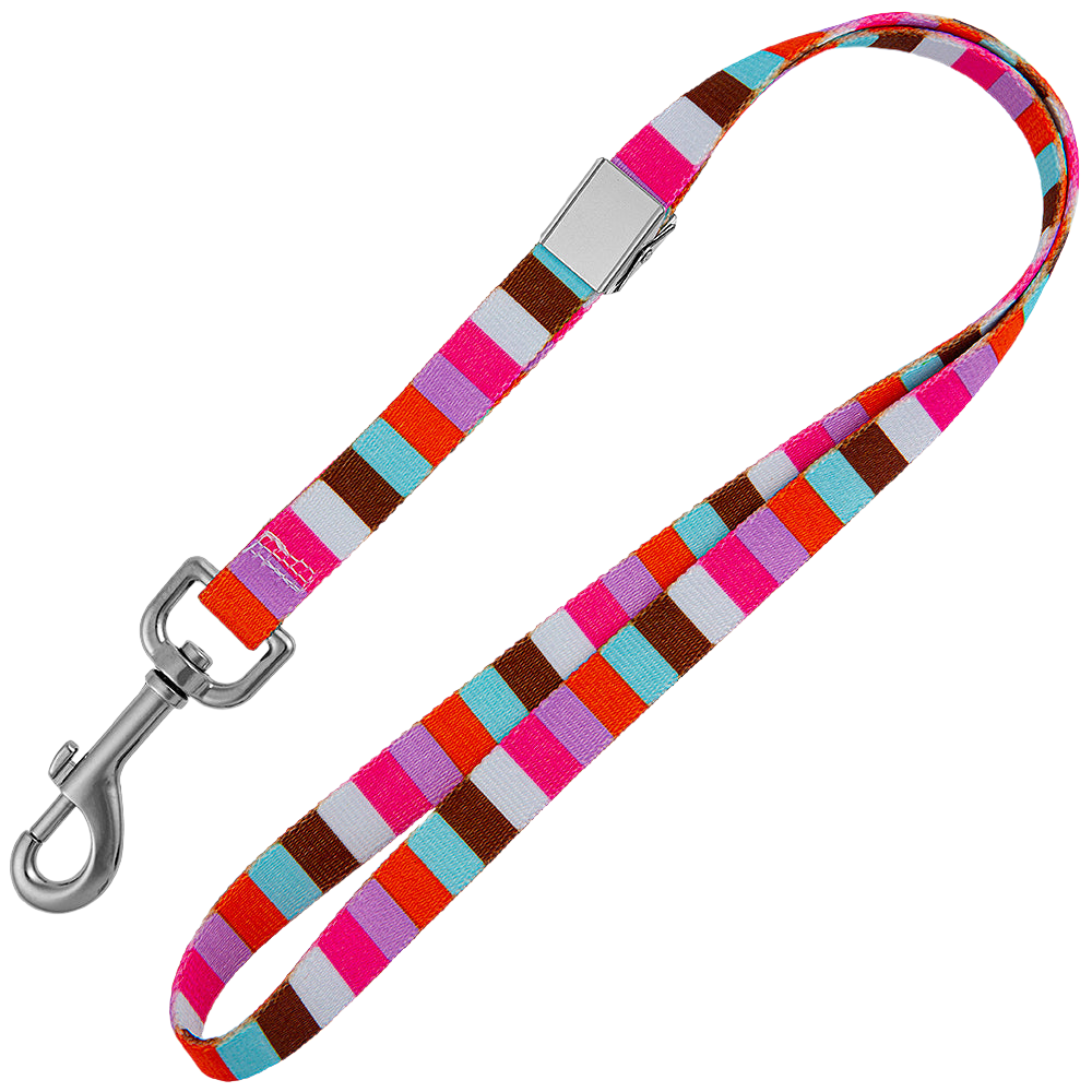 20" Multi Stripe Grooming Loop by Loop Dawgy Dawg