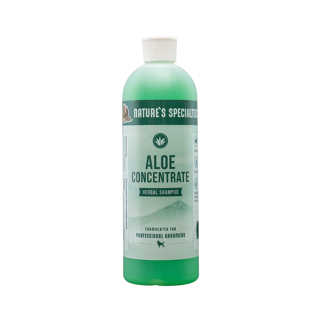 Aloe Concentrate Clarifying Shampoo 16oz by Nature's Specialties