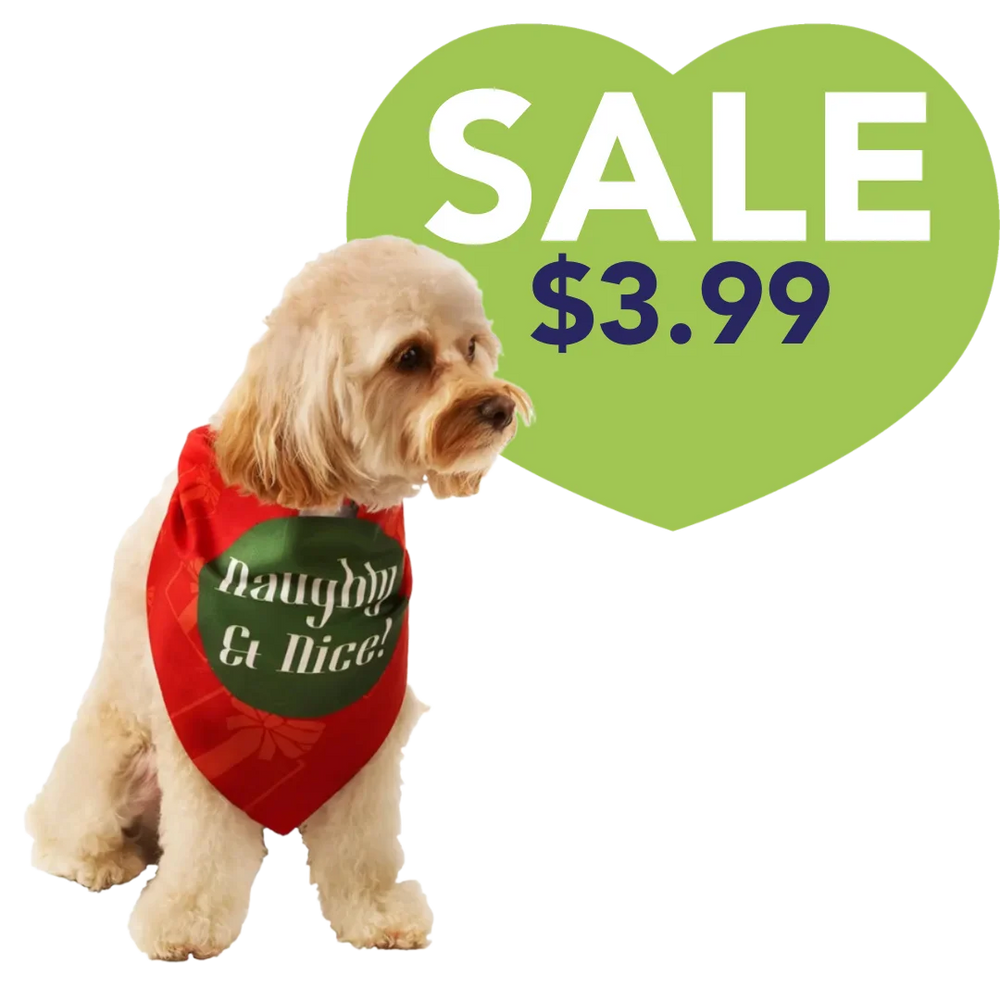 Dog Fashion Living Naughty & Nice Holiday Dog Bandana