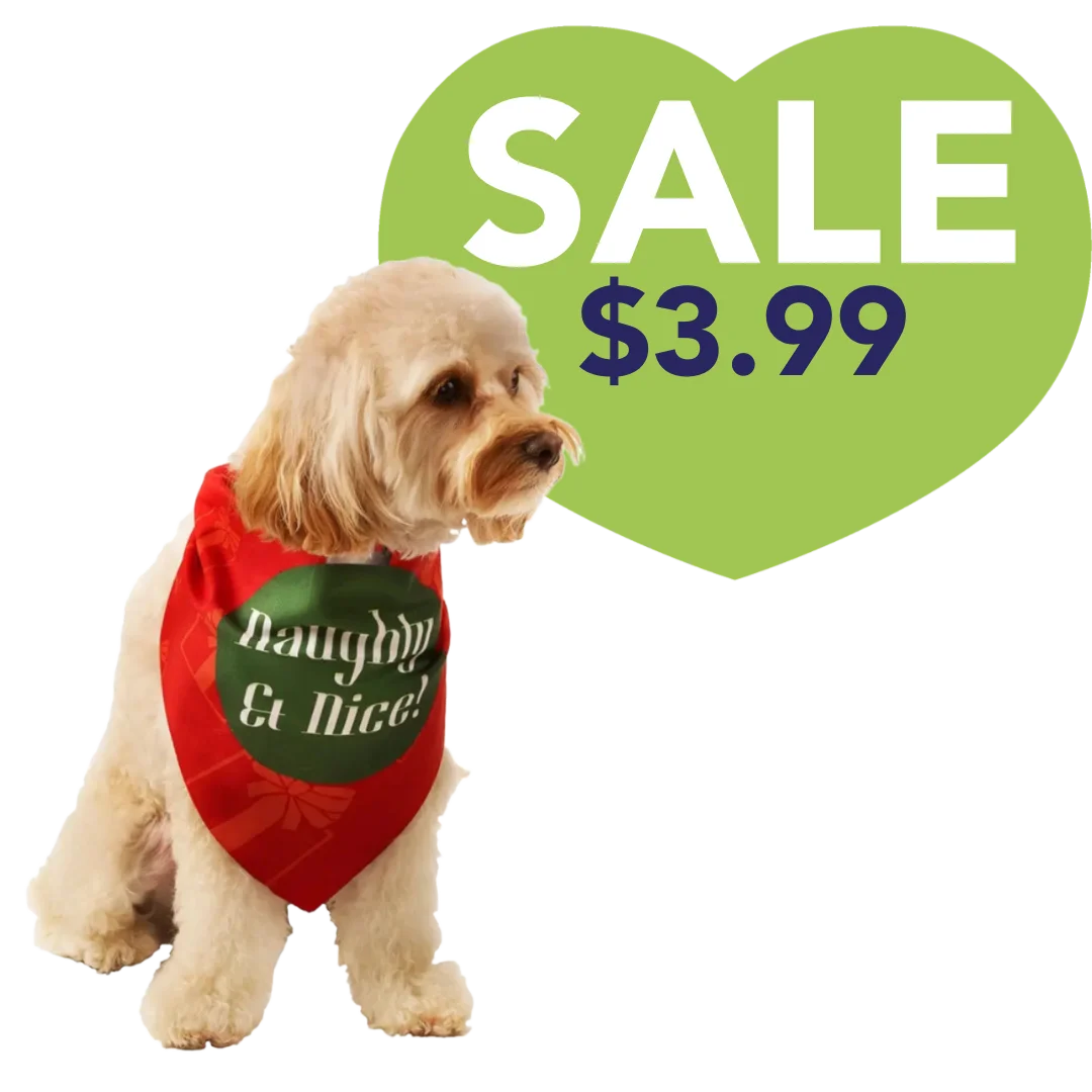 Dog Fashion Living Naughty & Nice Holiday Dog Bandana