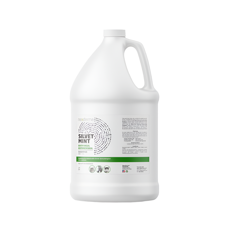 Silvet Mint Antifungal Antimicrobial Shampoo Gallon by Nexderma