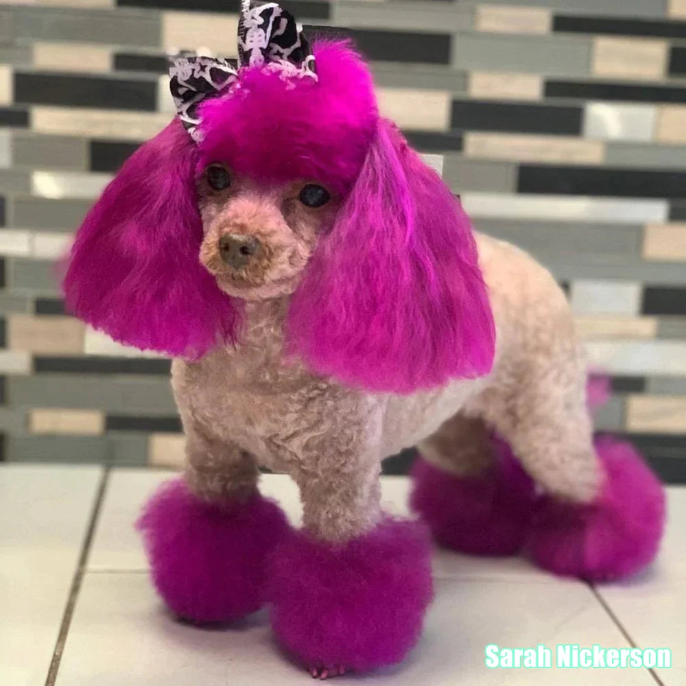 opawz permanent dog hair dye adorable pink