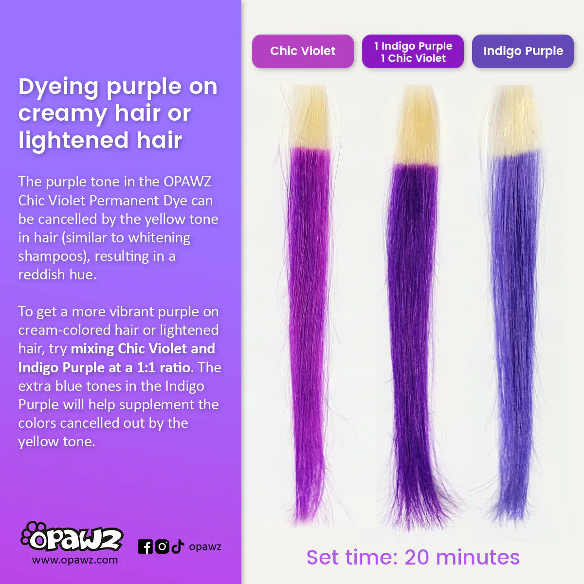 opawz permanent dog hair dye chic violet