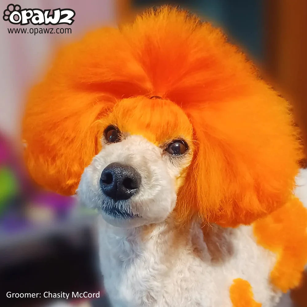 opawz permanent dog hair dye ardent orange