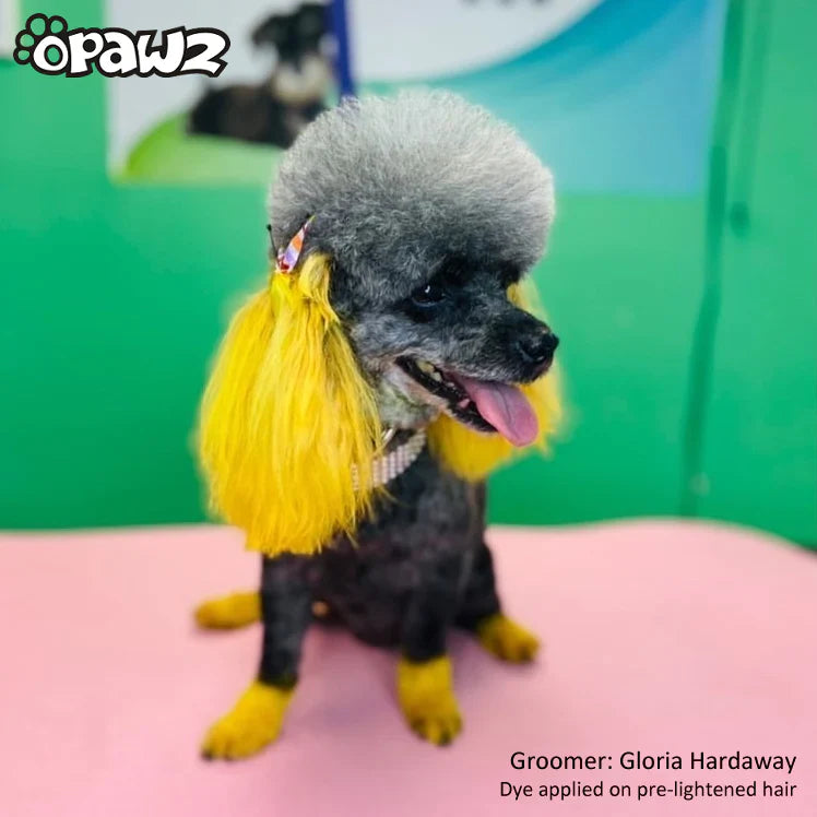 opawz permanent dog hair dye glorious yellow