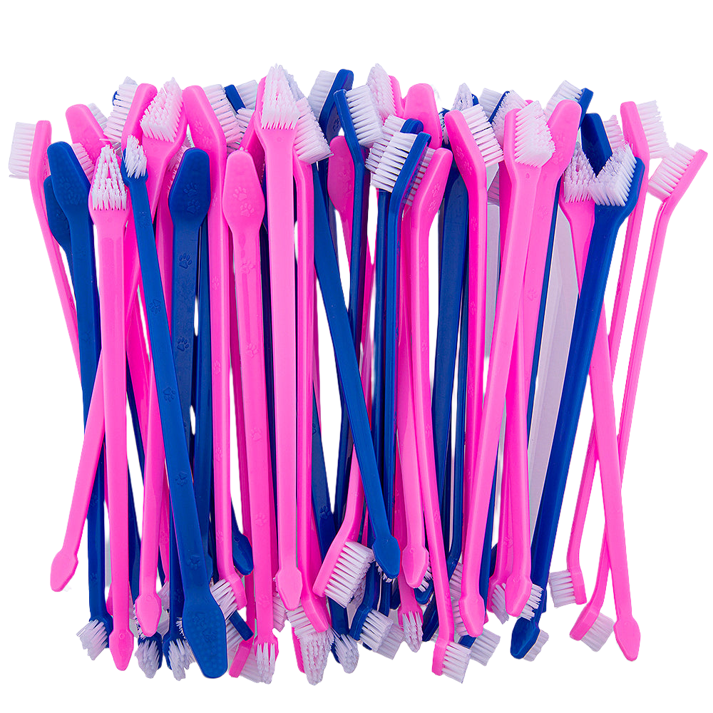 Dual-end Tooth Brushes 50 Count Pink/Blue by PetStore.Direct