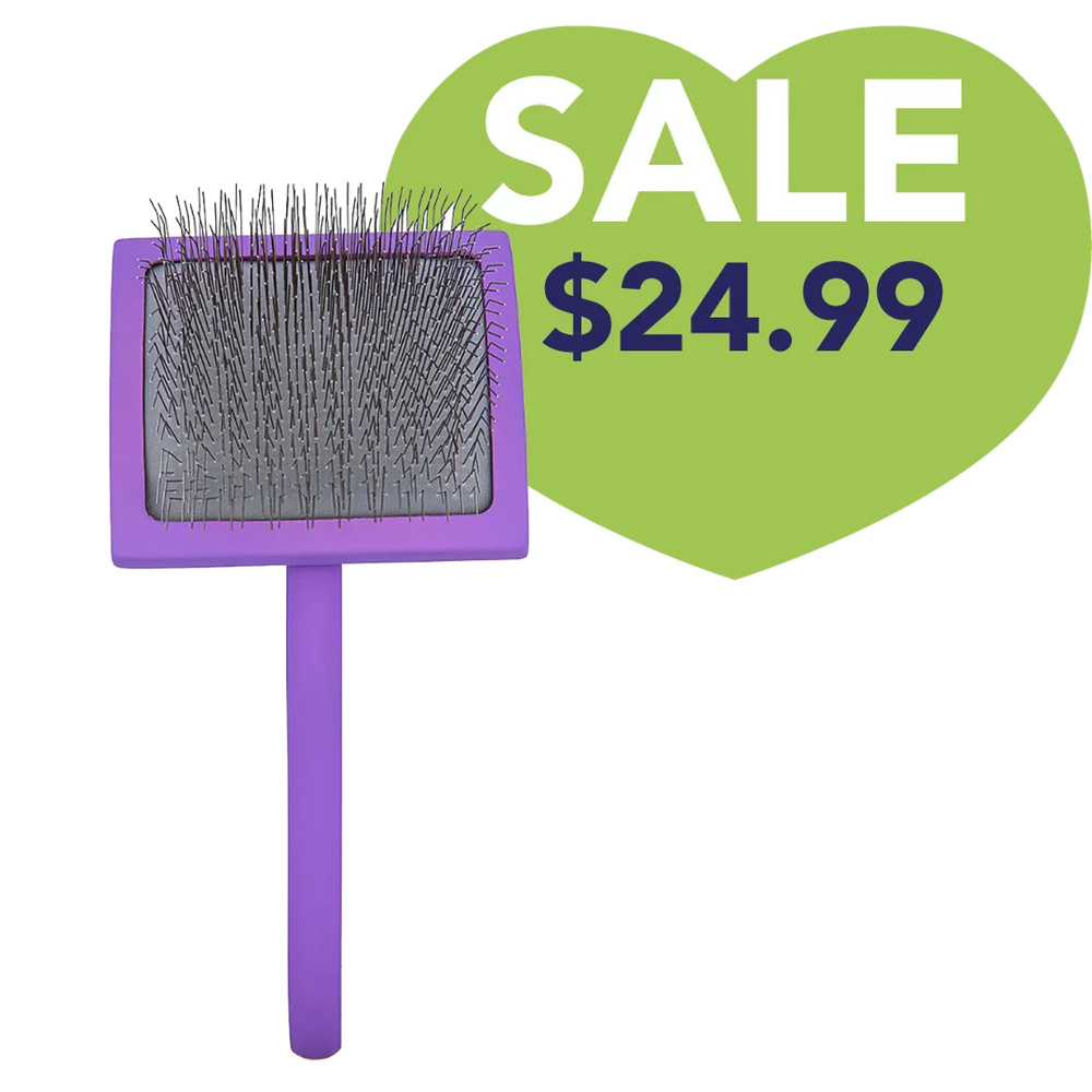 Large Curved Purple Dematting Brush by PetStore.Direct