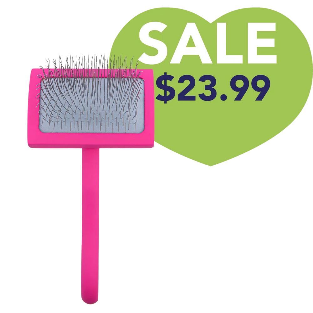 Medium Curved Pink Dematting Brush by PetStore.Direct