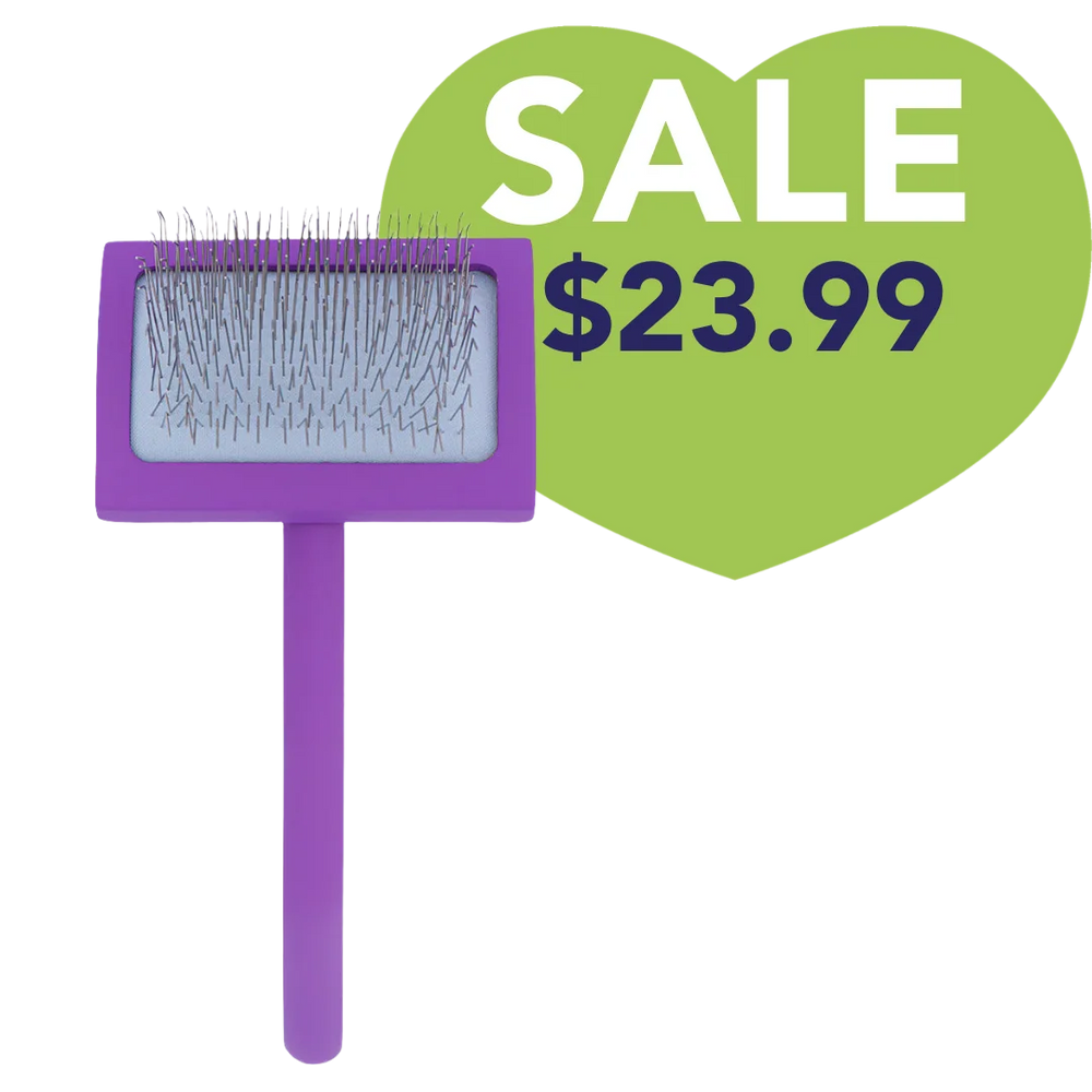 Medium Curved Purple Dematting Brush by PetStore.Direct