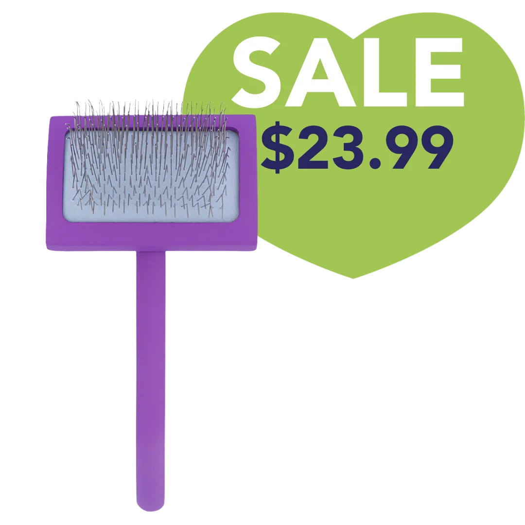 Medium Curved Purple Dematting Brush by PetStore.Direct