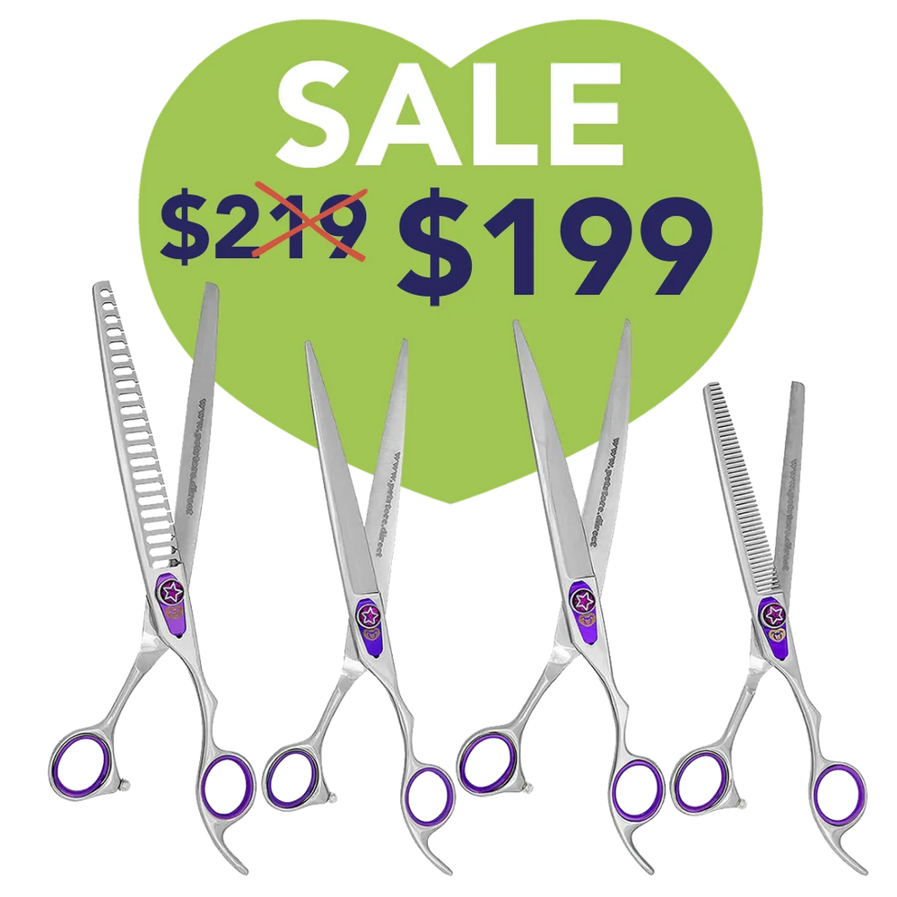 Purple 4 Grooming Shear Set in a Case by PetStore.Direct