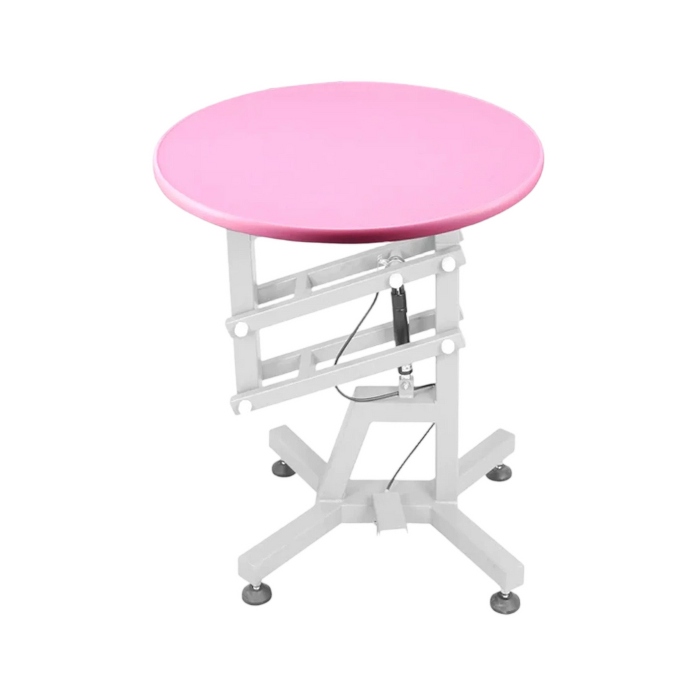 Round Air Lift Table - Pink Top by PetStore.Direct