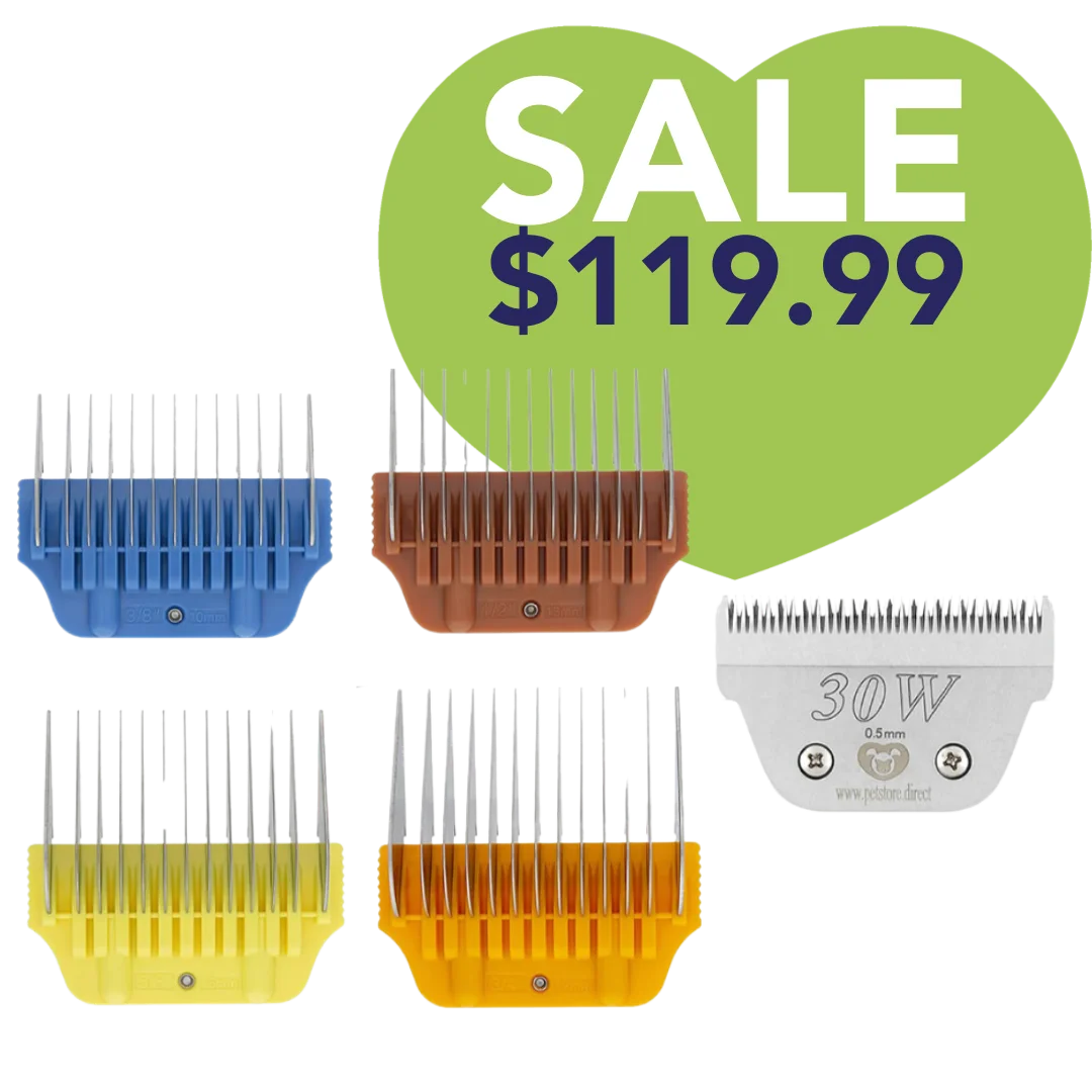 Wide Combs Colored Set of 4 (3/8