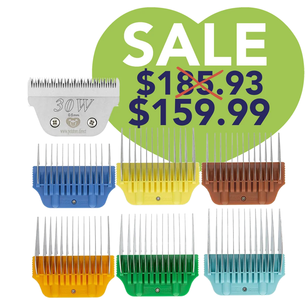 Wide Combs Colored Set of 6 3 8 through 1 with 30W Blade by PetSto