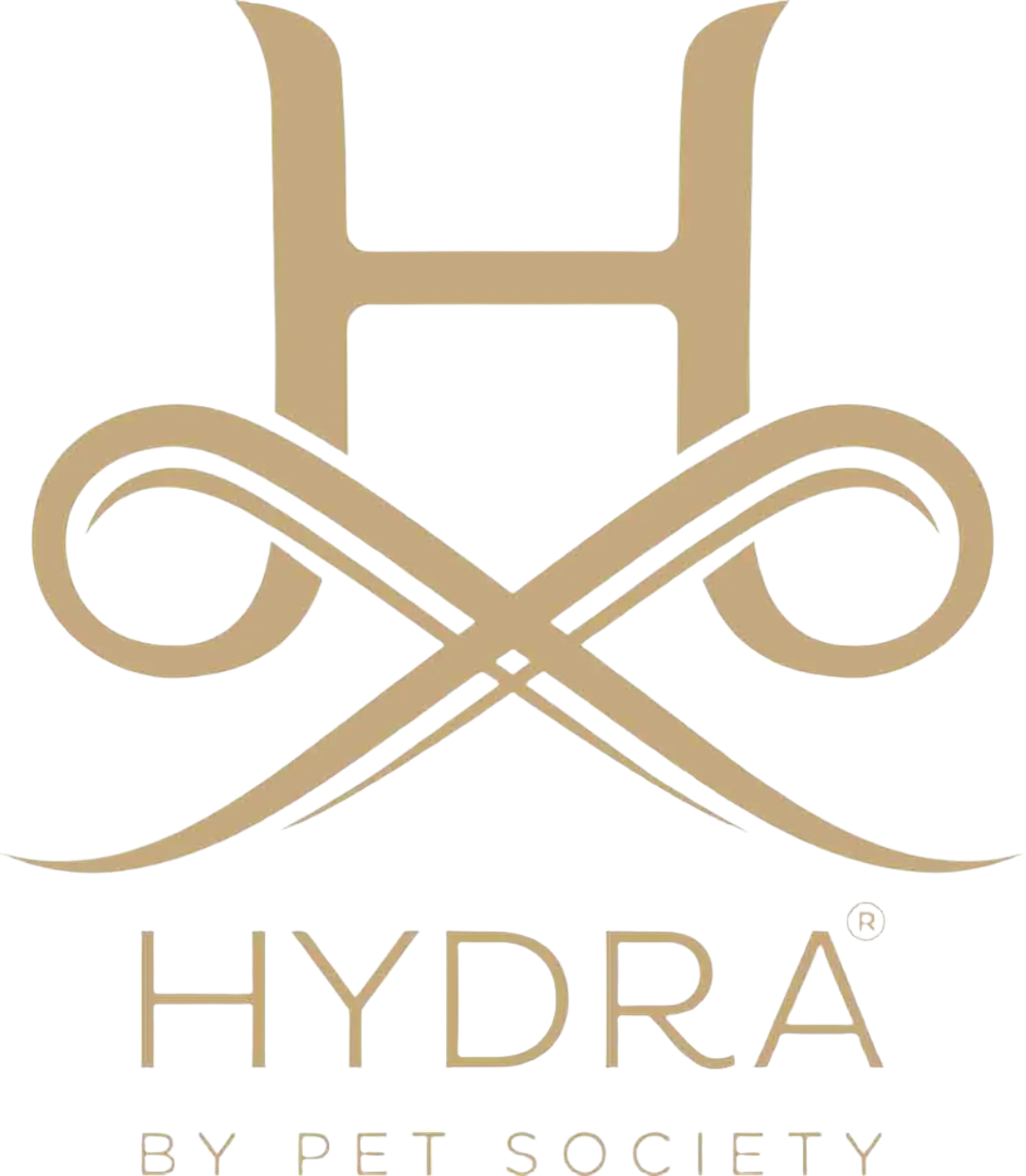 Luxury Care Fast Shower by Hydra