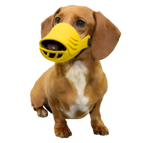 Medium Silicone Muzzle for Dogs by Artero