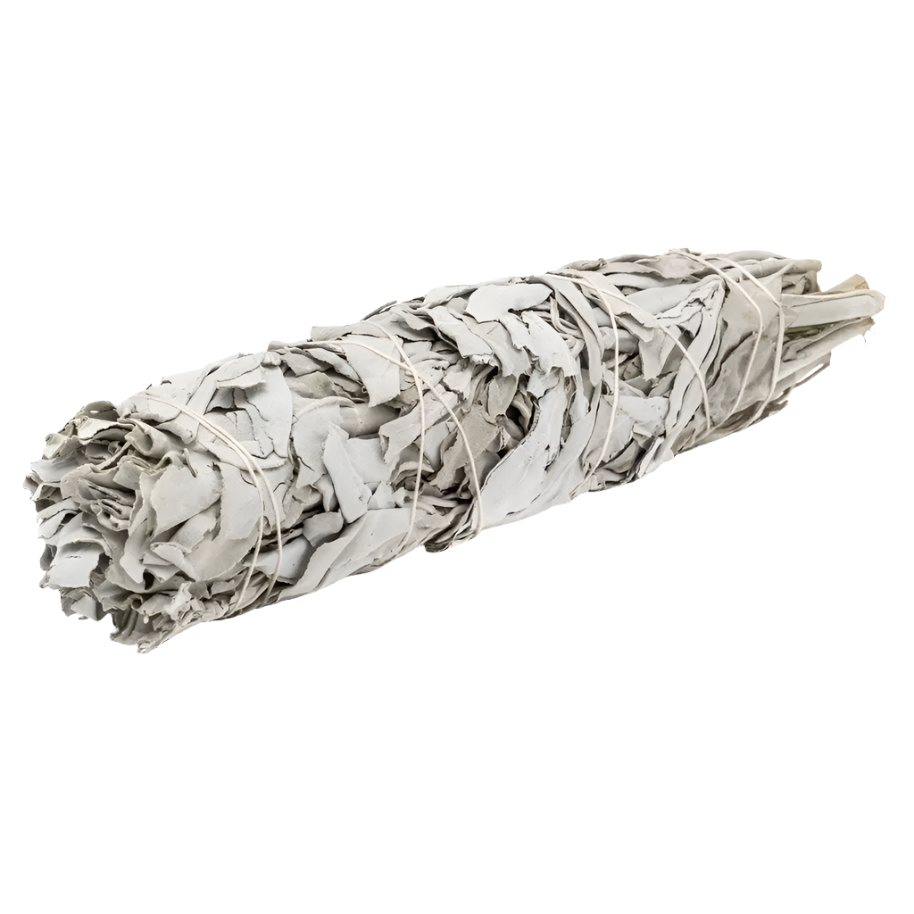 6" Mini California White Sage Smudge