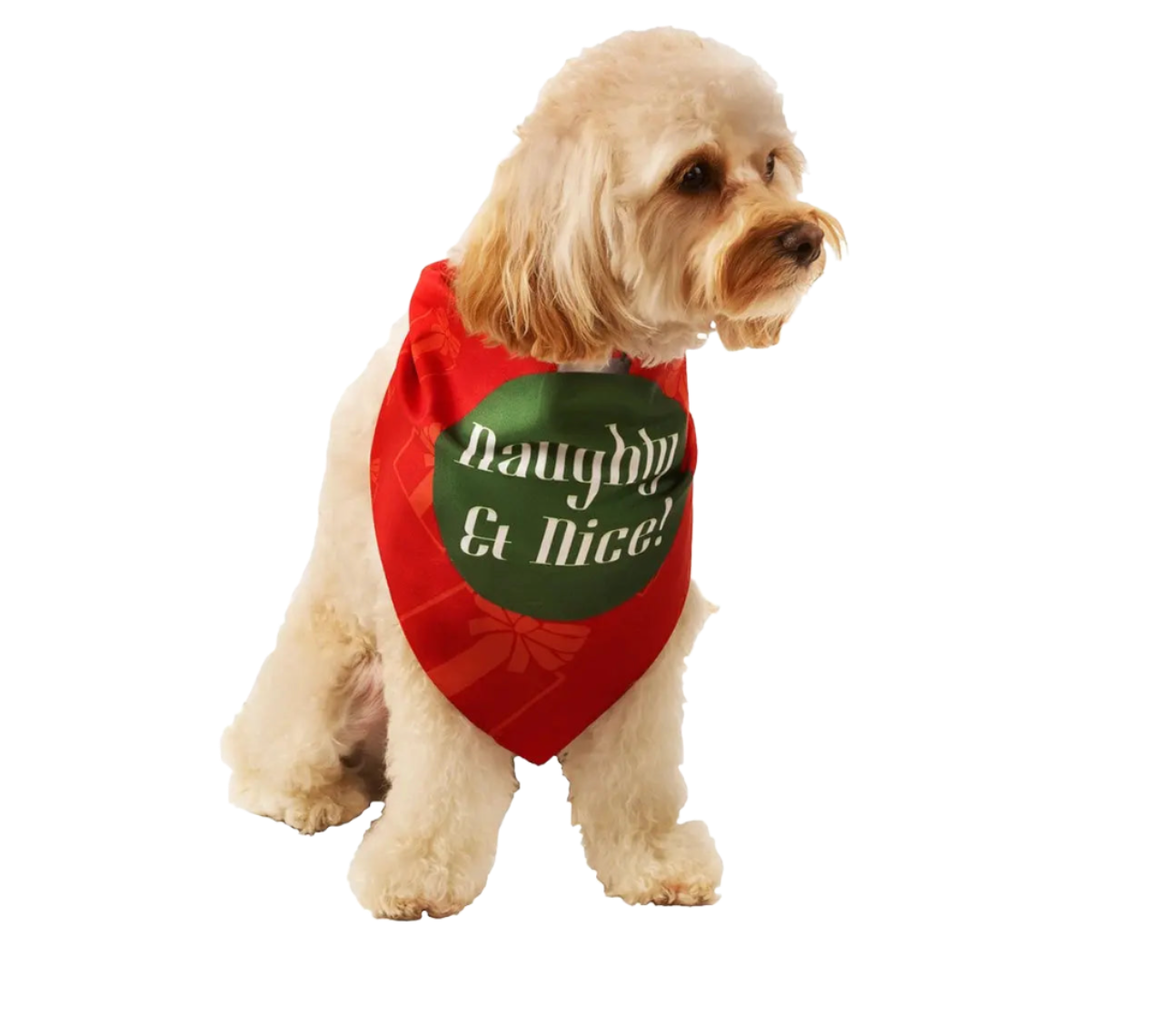 Naughty & Nice Holiday Dog Bandana by Dog Fashion Living