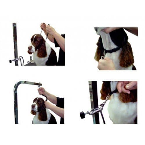 Grooming Loop by Groomer's Helper