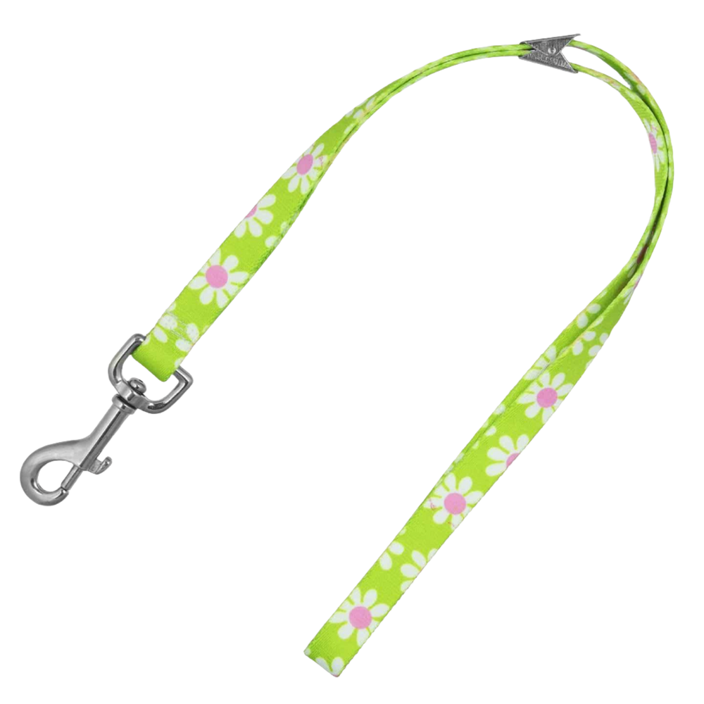 20" Green Daisy Grooming Loop by Loop Dawgy Dawg