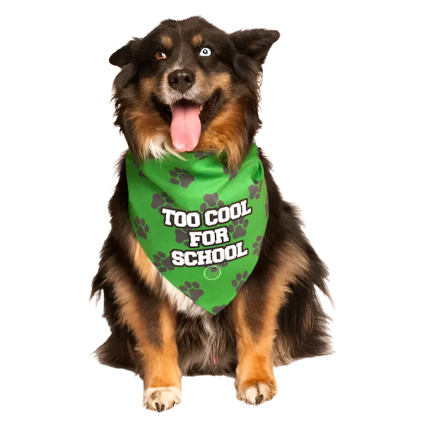 Too Cool For School Bandana by Dog Fashion Living