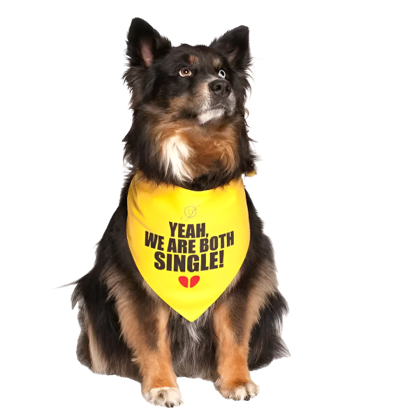 Yeah, We Are Both Single Dog Bandana by Dog Fashion Living