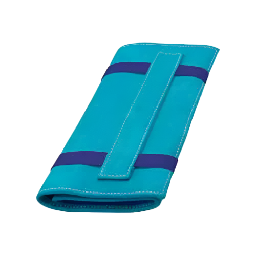 Professional Scissor Case Blue by Artero