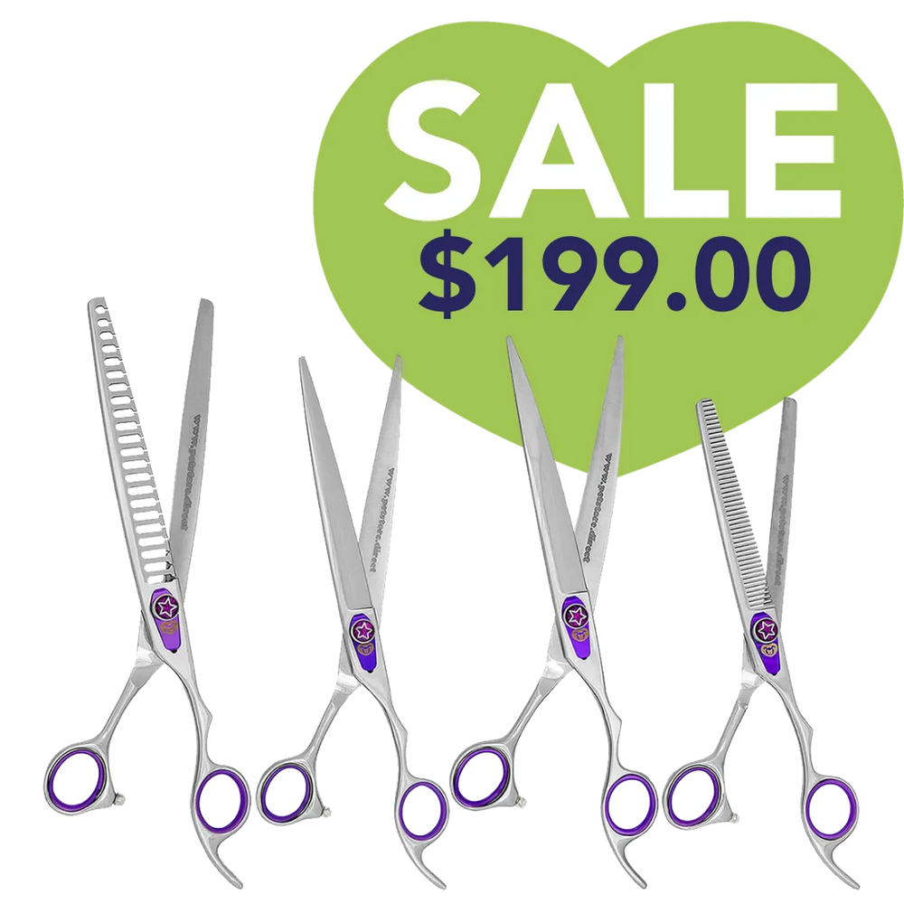 Purple 4 Grooming Shear Set in a Case by PetStore.Direct