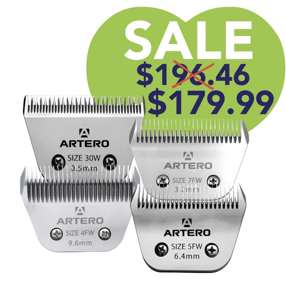 Best-Selling Wide Blades Set of 4 by Artero