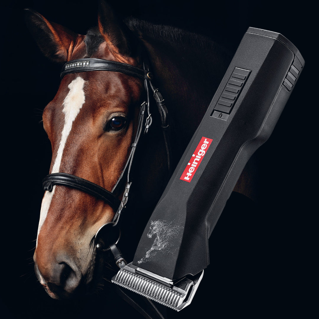 Best Horse Saphir Cordless Clipper from Heiniger