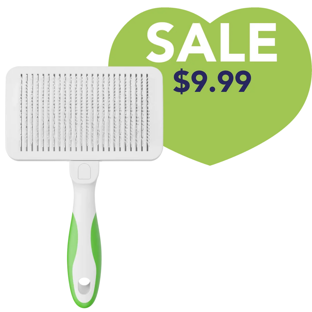 Andis Self Cleaning Slicker Brush